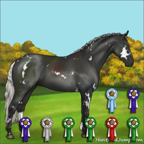 Horse Color:White Spotted Liver Chestnut Mushroom