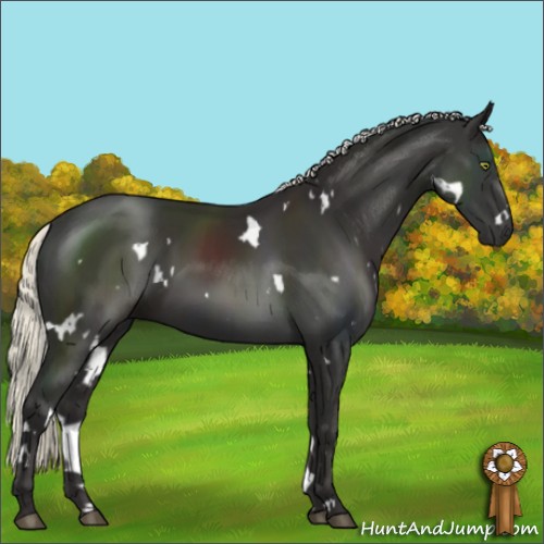 Horse Color:White Spotted Liver Chestnut Mushroom 