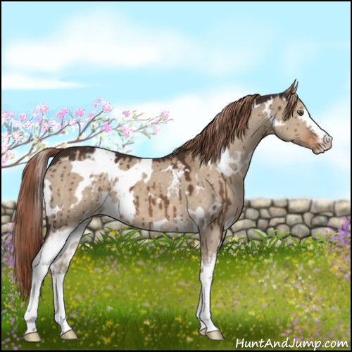 Horse Color:White Spotted Liver Red Dun Varnish Brindle 