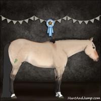 Horse Color:Bay Dun Rabicano