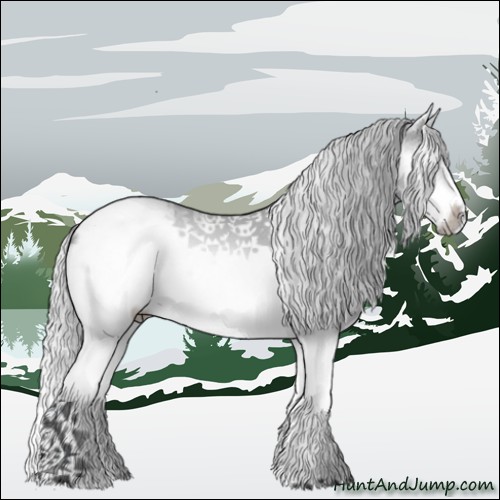 Horse Color:White Spotted Silver Bay Chinchilla Splash Frame 