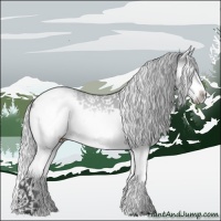 Horse Color:White Spotted Silver Bay Chinchilla Splash Frame 