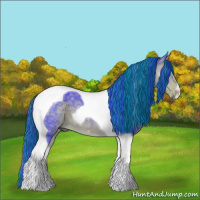 Horse Color:Painted Watercolor Buckskin Tobiano 