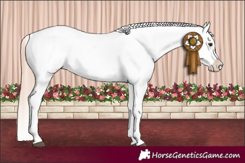 Horse Color:White Spotted Red Dun Blanket 