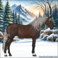 Horse Color:Silver Brown Sabino 