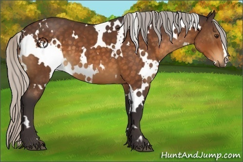 Horse Color:White Spotted Silver Buckskin 