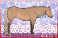 Horse Color:Silver Bay Dun 