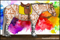 Horse Color:Bay and Bay Appaloosa