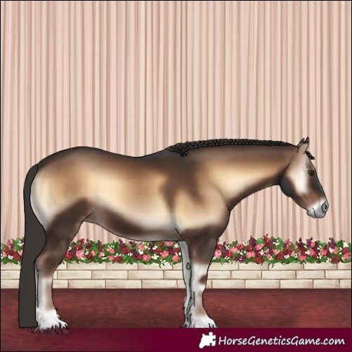 Horse Color:Liver Red Onyx