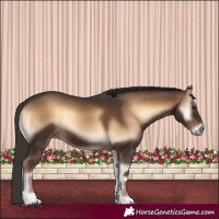 Horse Color:Liver Red Onyx