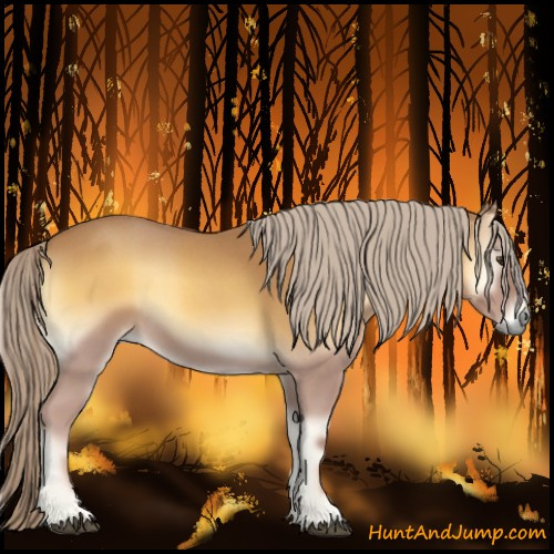 Horse Color:Palomino Roan Onyx 
