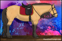 Horse Color:Buckskin Sabino