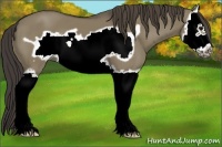 Horse Color:Smoky Grullo Splash Frame 