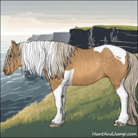 Horse Color:Palomino Tobiano Rabicano 