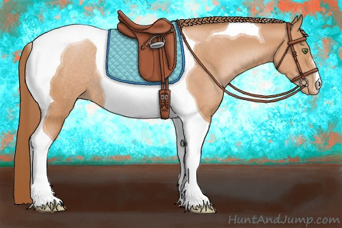 Horse Color:Bay Pearl Tobiano Rabicano 