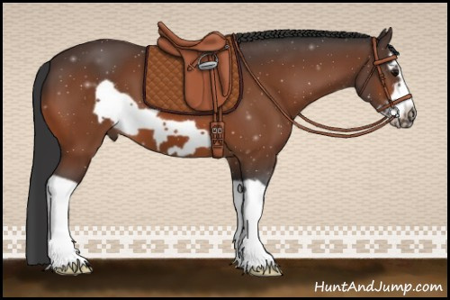 Horse Color:Bay Splash Frame 