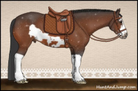 Horse Color:Bay Splash Frame
