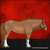 Horse Color:Chestnut Tobiano