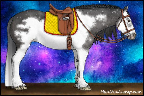 Horse Color:Black Splash Frame 