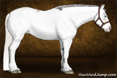 Horse Color:Chocolate Palomino Pearl Sabino
