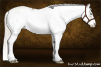 Horse Color:Chocolate Palomino Pearl Sabino