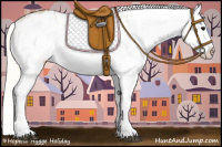 Horse Color:White Spotted Silver Smoky Black Appaloosa 