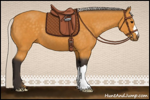 Horse Color:Silver Buckskin 