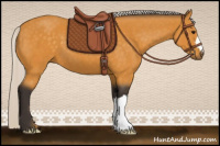 Horse Color:Silver Buckskin 