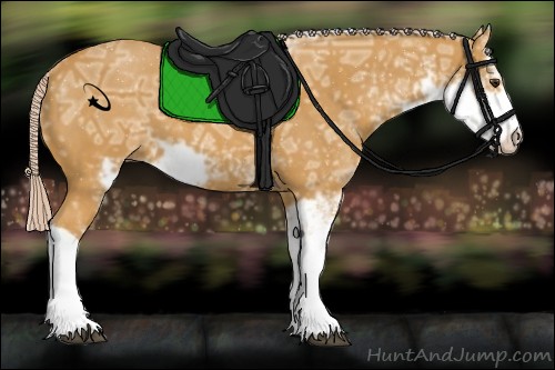 Horse Color:Palomino Ice Sabino 