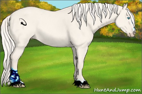 Horse Color:Cremello Dun Sabino 