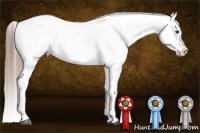 Horse Color:Liver Chestnut Appaloosa