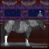Horse Color:Blue Roan  and Blue Roan 