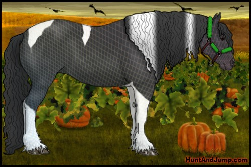 Horse Color:Black Tobiano 