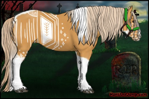 Horse Color:Palomino Sabino Tobiano