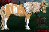 Horse Color:Palomino Sabino Tobiano