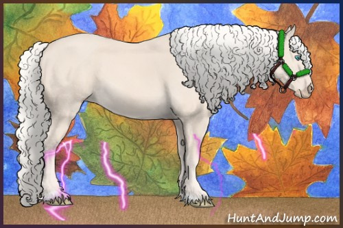 Horse Color:Cremello Sabino 