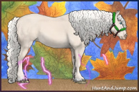 Horse Color:Cremello Sabino 