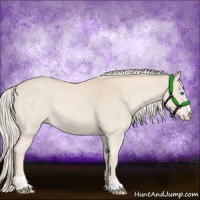 Horse Color:Cremello Sabino