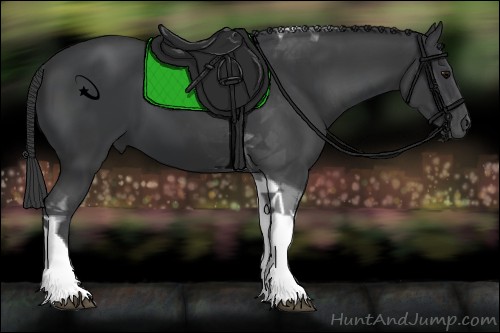 Horse Color:Black Tobiano 