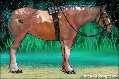 Horse Color:Bay Tobiano 