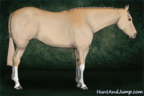 Horse Color:Palomino Roan 
