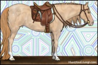 Horse Color:Gold Champagne 