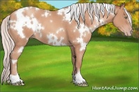 Horse Color:White Spotted Silver Sable Champagne 