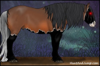 Horse Color:Bay Splash 