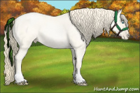 Horse Color:Amber Cream Champagne Roan Pearl 