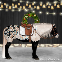 Horse Color:Red Roan Splash Appaloosa Rabicano 