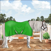 Horse Color:White Spotted Silver Bay Snowcap 