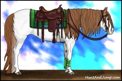Horse Color:White Spotted Chestnut Snowcap 