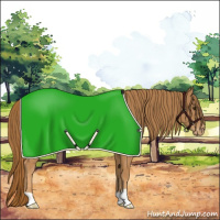 Horse Color:Chestnut Appaloosa