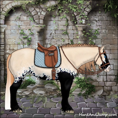 Horse Color:White Spotted Gold Champagne Roan Dun Splash Rabicano